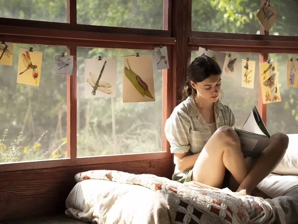 Where the Crawdads Sing,沼澤謀殺案,荒野謎屍,沼泽深处的女孩