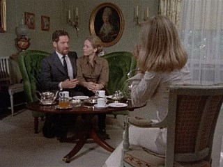 scenes frome a marriage 1973 tvseries,婚姻場景1973瑞典電視劇