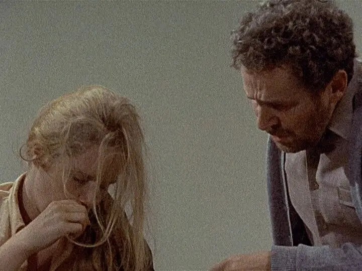 scenes from a marriage 1973 tvseries,婚姻場景1973瑞典電視劇