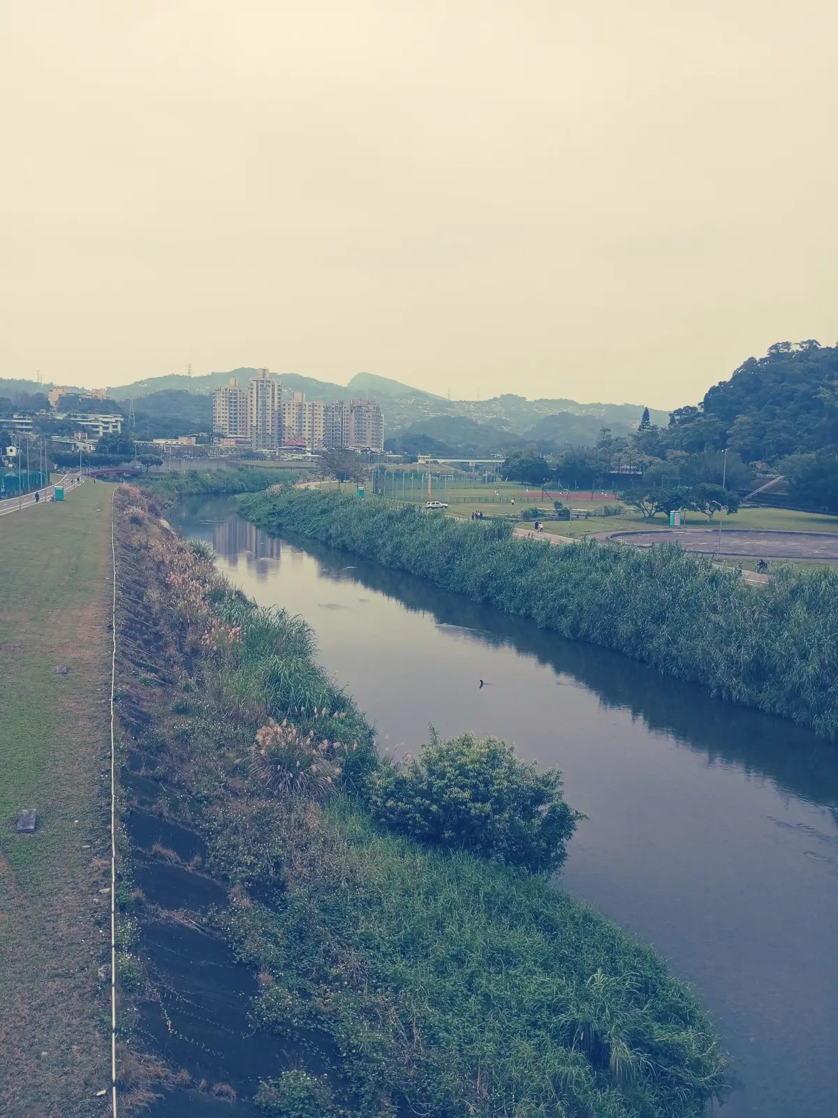 道南河提20240128