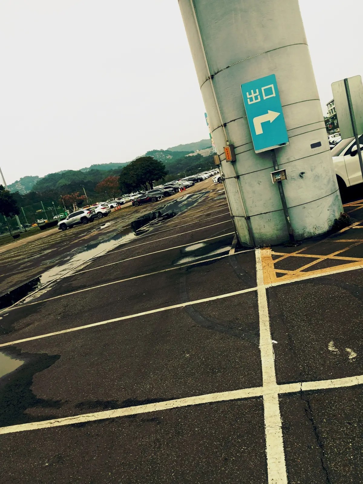 道南河提20240128