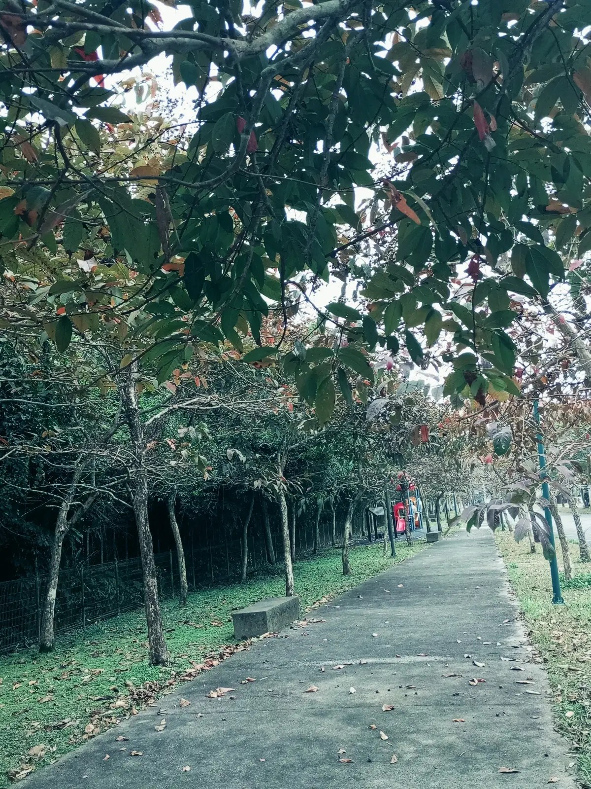 道南河提20240128