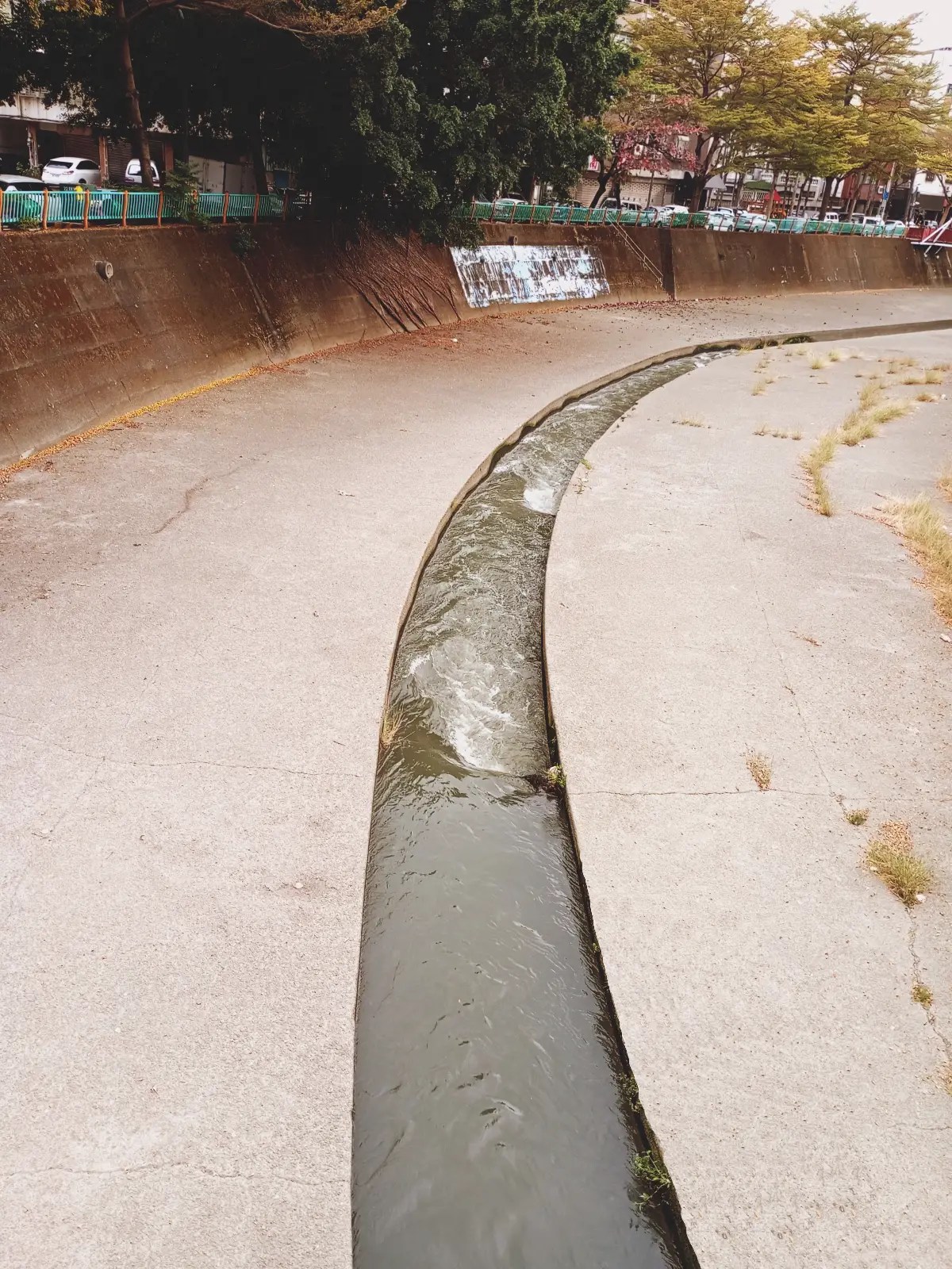 台中市區20240204