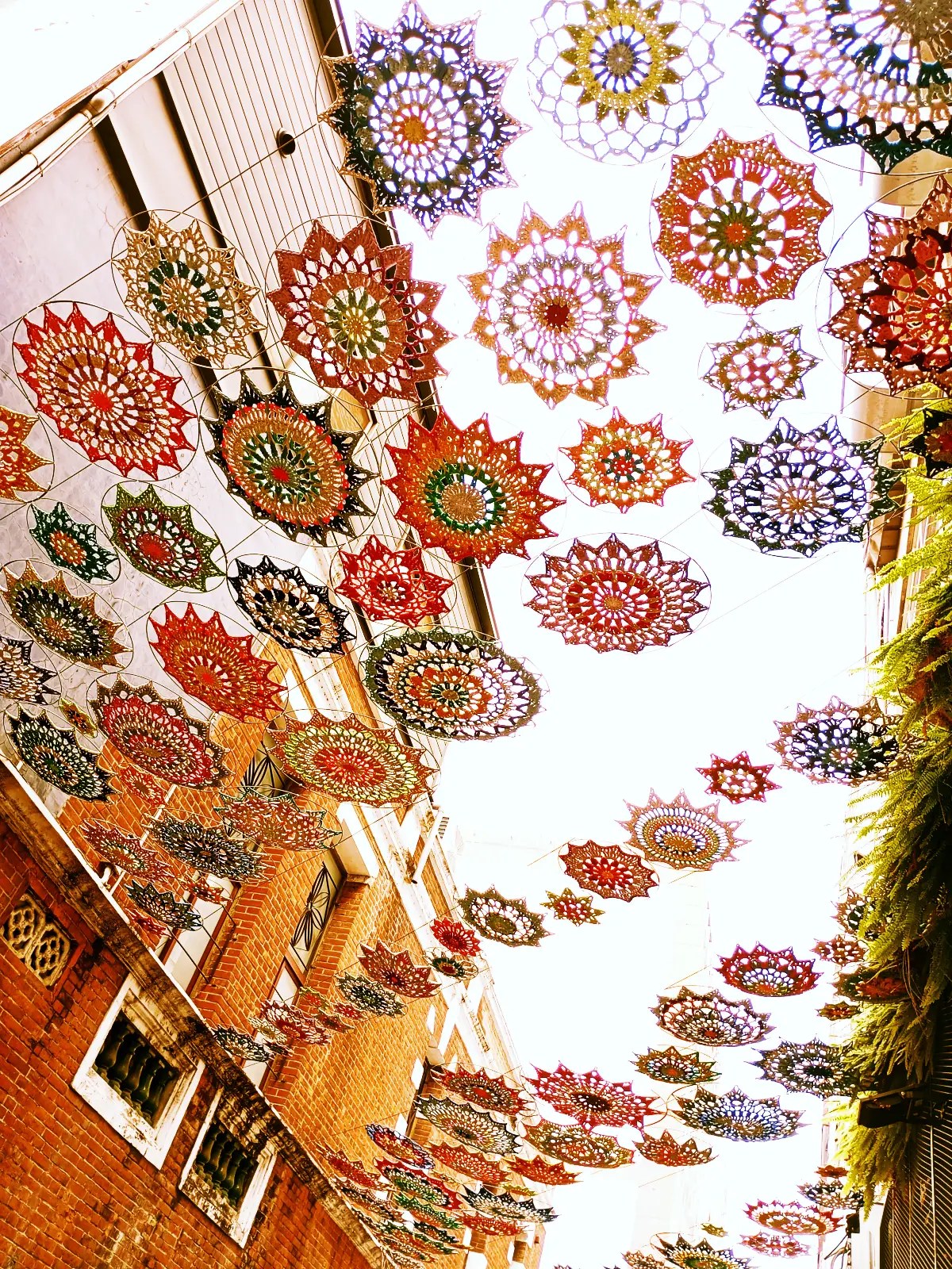 台中市區20240204