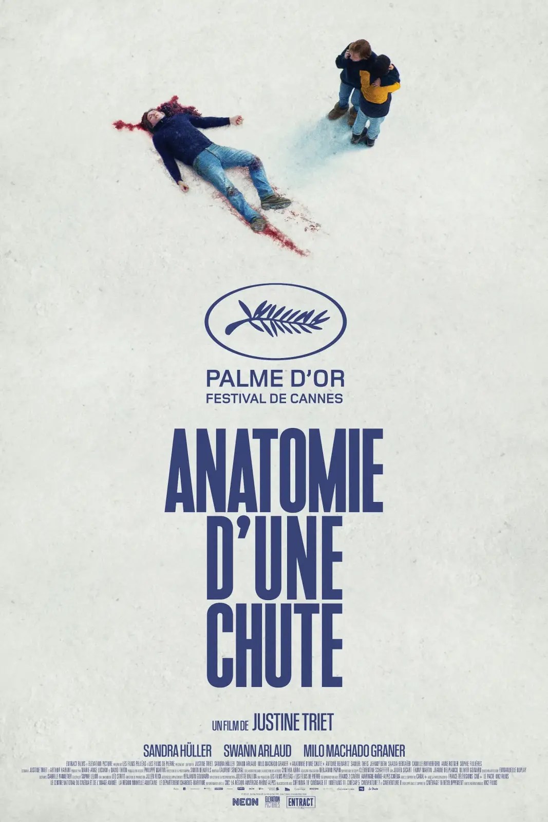Anatomie d'une Chute,墜惡真相,墮下的對證,坠落的审判,海報,poster