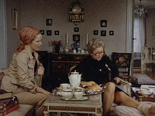scenes from a marriage 1973 tvseries,婚姻場景1973瑞典電視劇