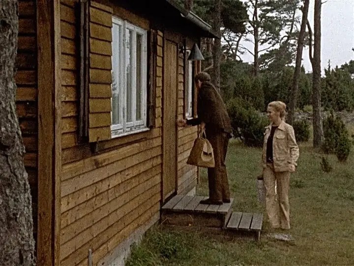 scenes from a marriage 1973 tvseries,婚姻場景1973瑞典電視劇