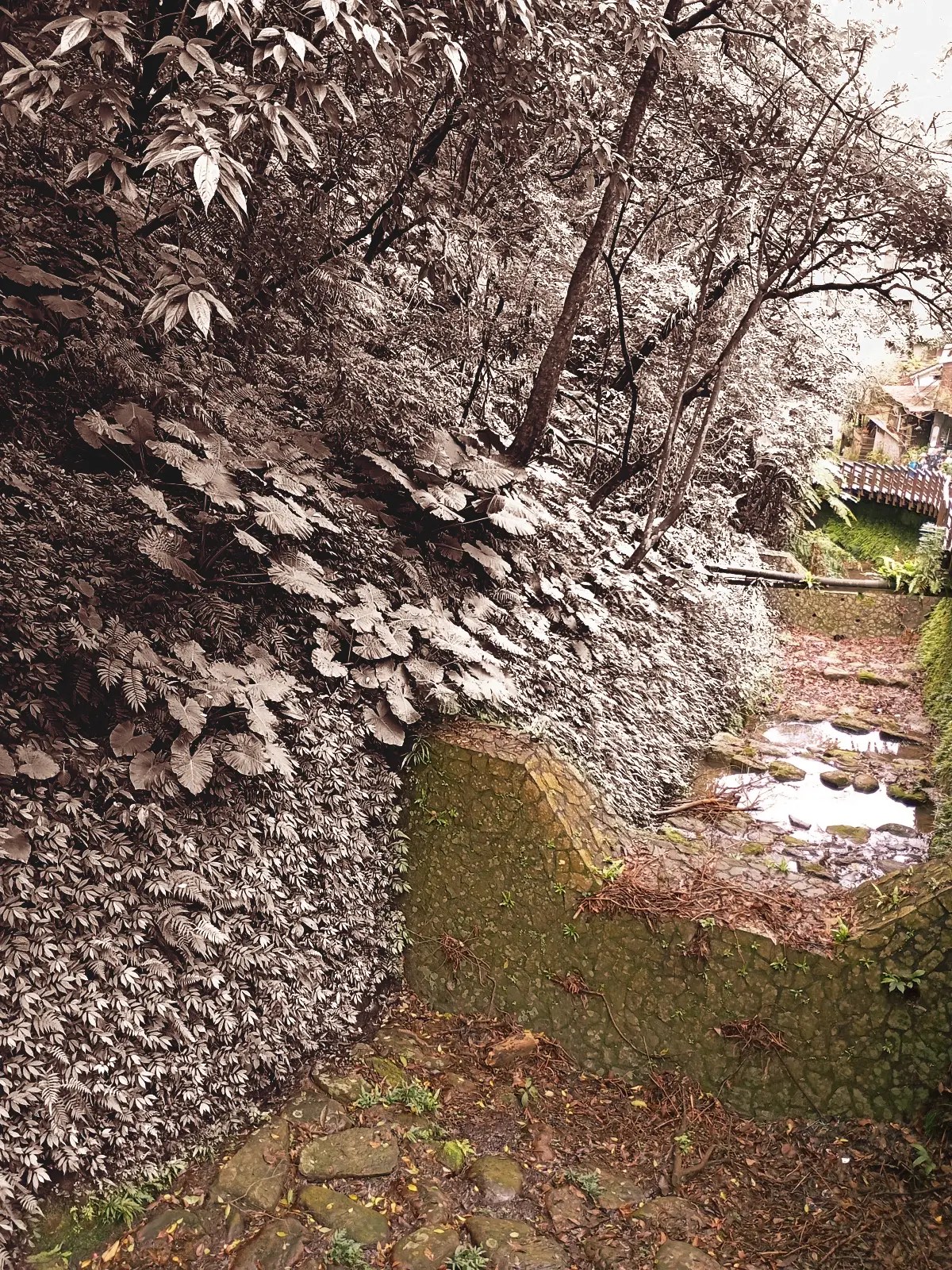 德興煤礦20250202a