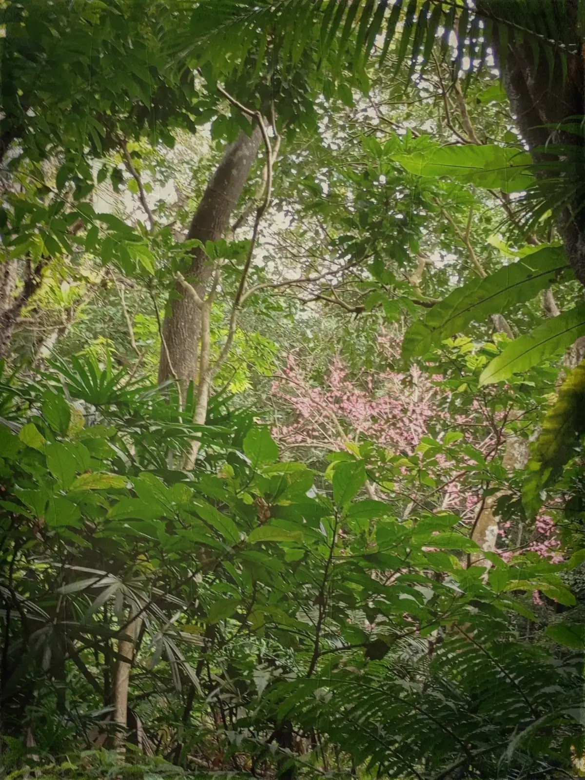 德興煤礦20250202b