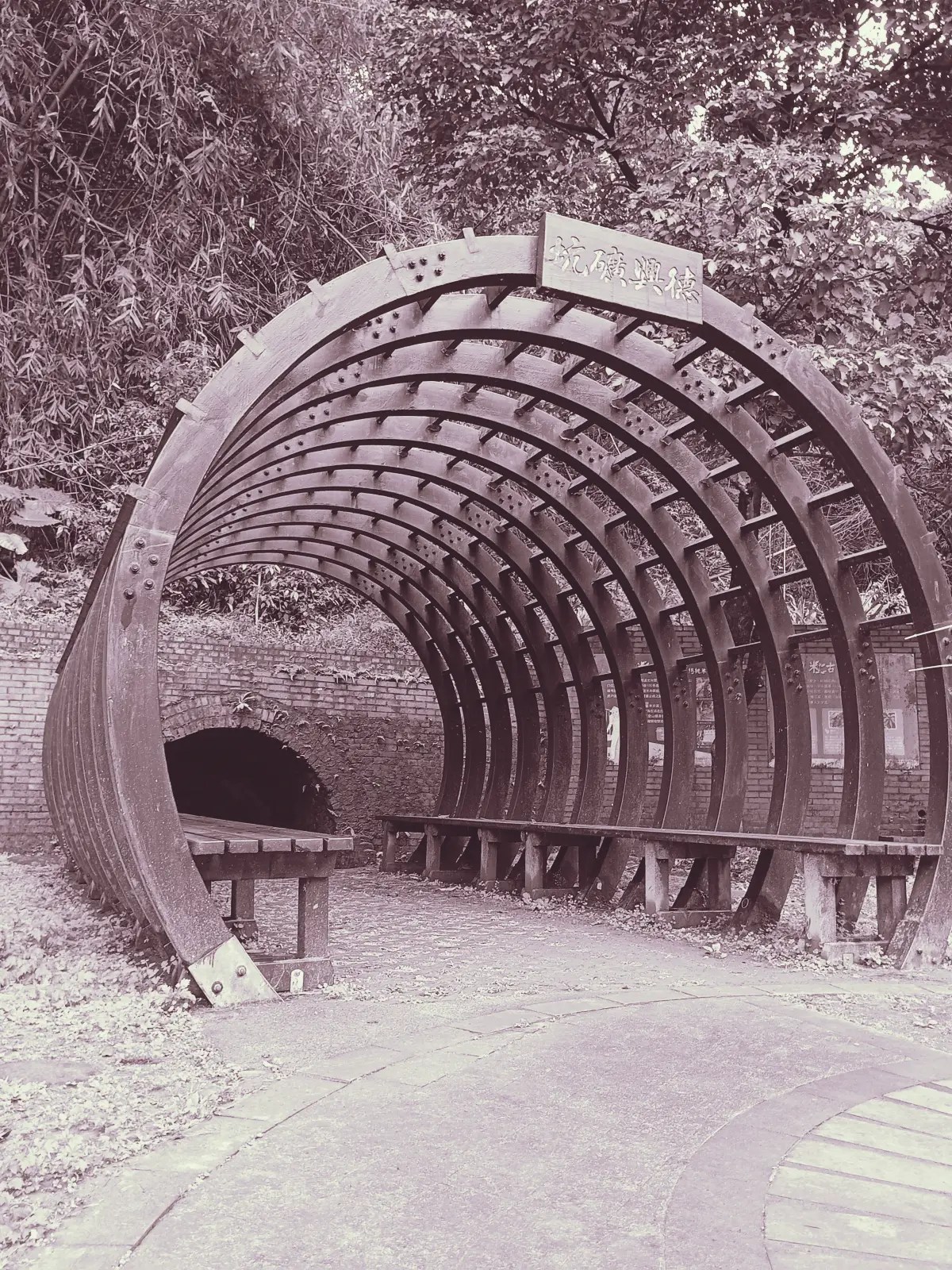 德興煤礦20250202d