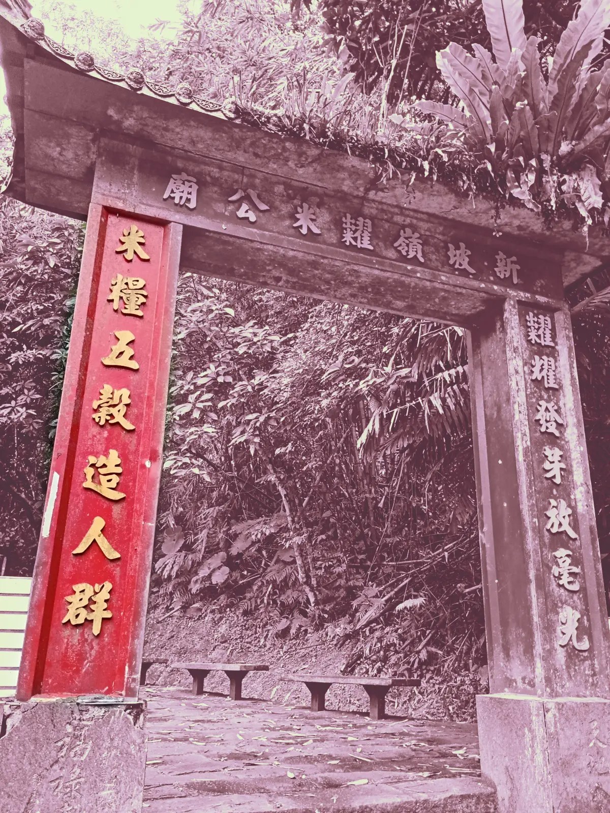 德興煤礦20250202g