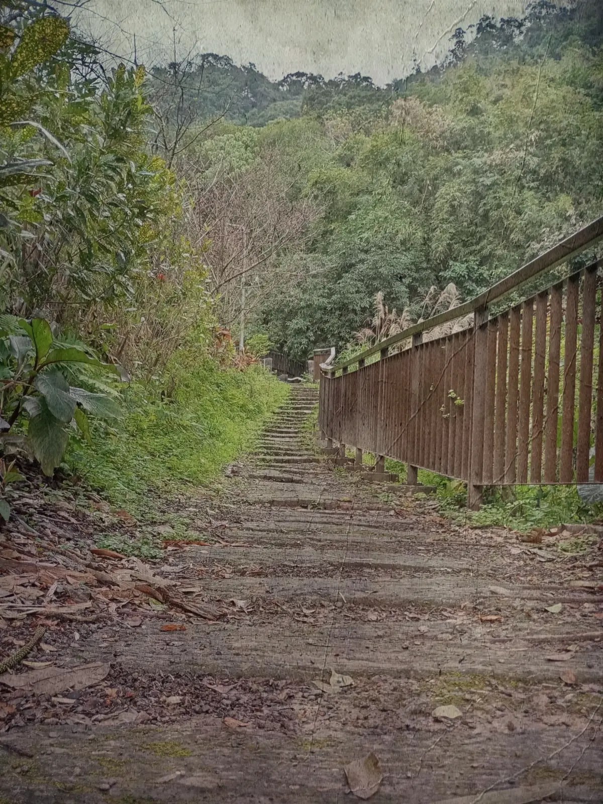 德興煤礦20250202i