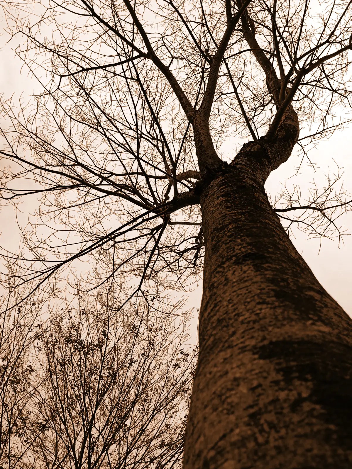 德興煤礦20250202j